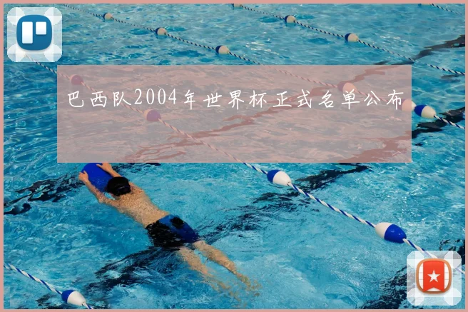 巴西队2004年世界杯正式名单公布