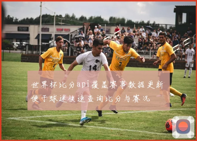 世界杯比分api覆盖赛事数据更新 便于球迷快速查询比分与赛况